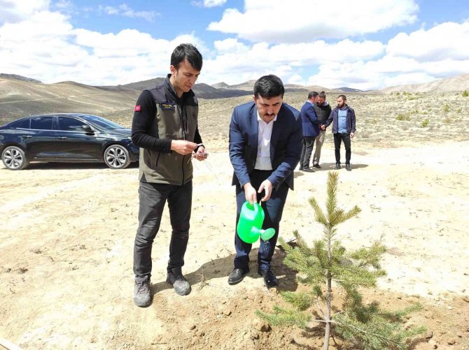 Her bir şehit için ikişer fidan diktiler