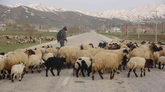 Göçerlerin zorlu yolculuğu başladı