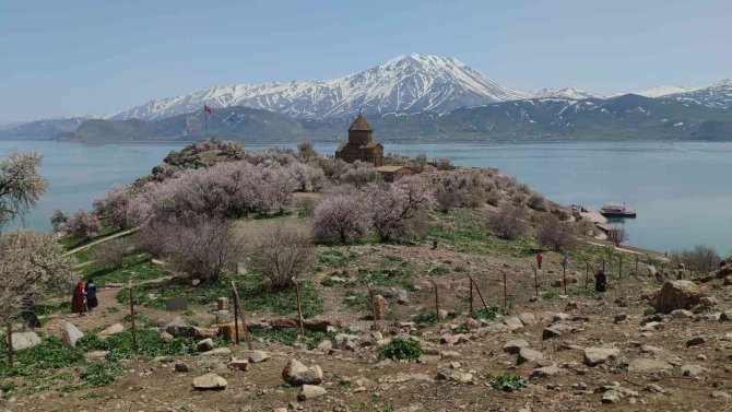 Akdamar Adası’nda ilkbahar güzelliği