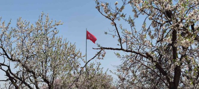 Akdamar Adası’nda ilkbahar güzelliği