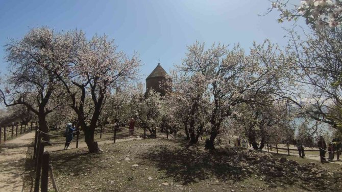 Akdamar Adası’nda ilkbahar güzelliği