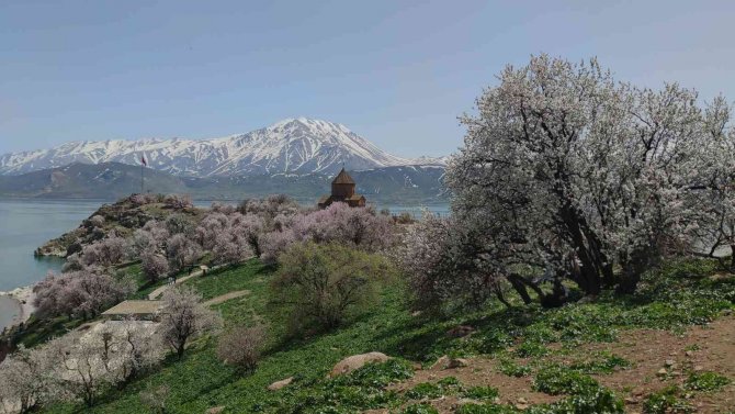 Akdamar Adası’nda ilkbahar güzelliği