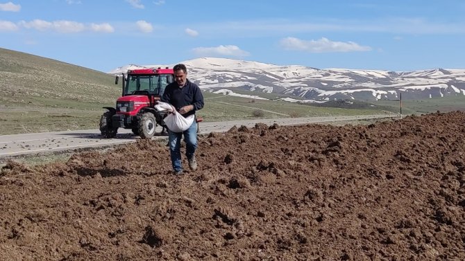 Bahar geldi tohum toprak ile buluştu