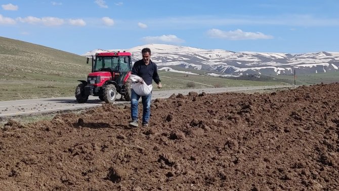 Bahar geldi tohum toprak ile buluştu