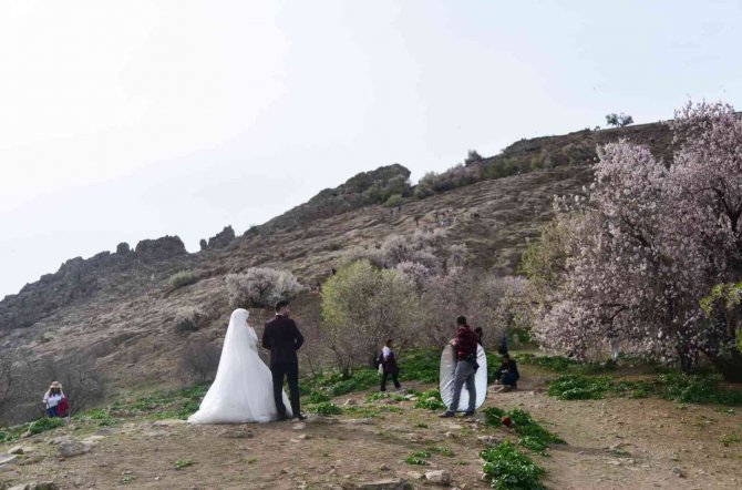 Akdamar Adası’nda görsel şölen