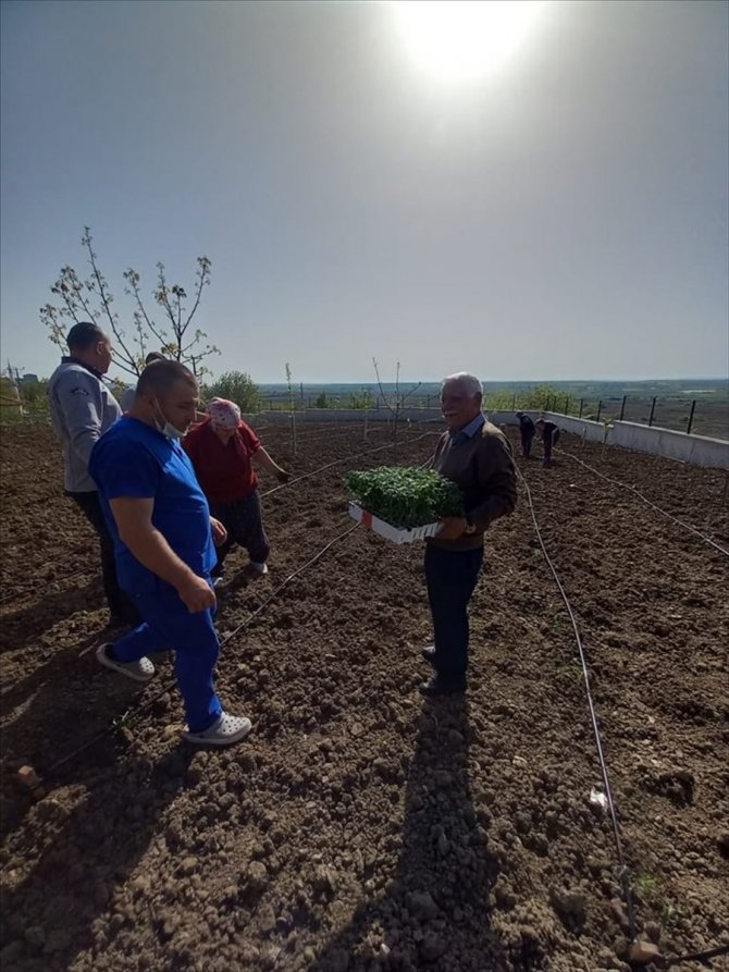 Edirne'de huzurevi sakinleri meyve sebze yetiştiriyor