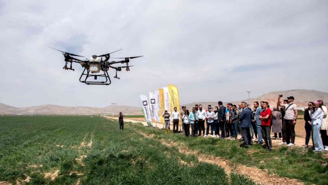 SÜ Ziraat Fakültesi çiftliğinde drone ile ilaçlama yapıldı
