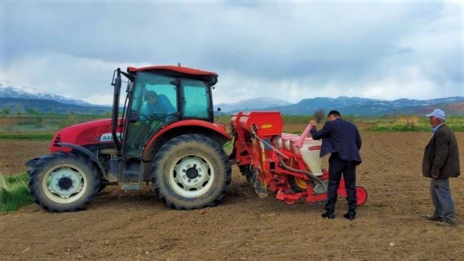 Ayçiçeği tohumları toprakla buluştu