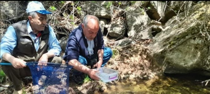 Elazığ’da benekli semender izleme çalışması yapıldı