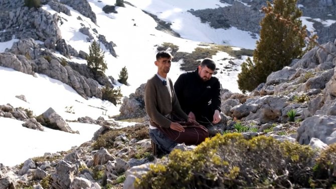 Sarp dağlarda yetişen eşsiz lezzet: ‘Çiriş otu’