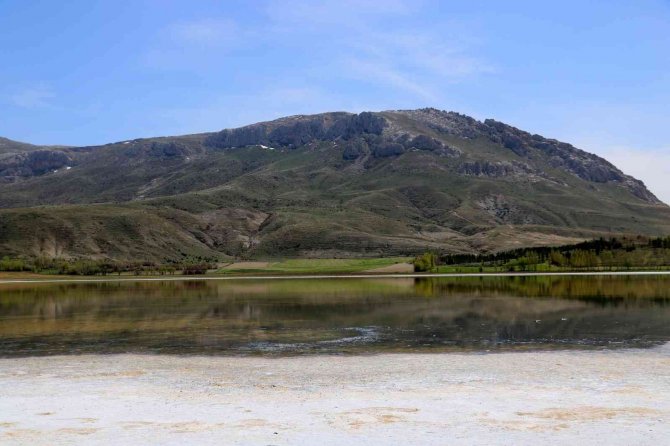 Kurumaya başladı, rengarenk oldu