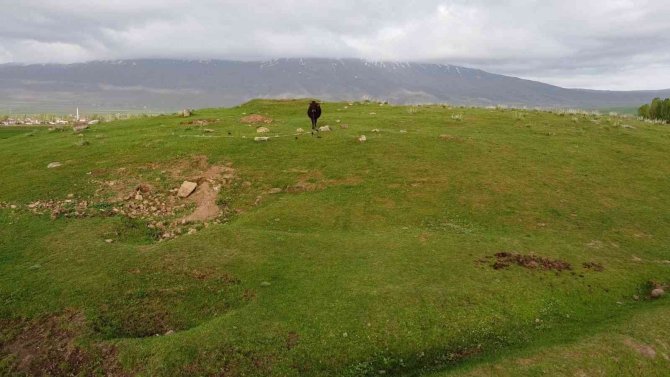 Yaylada mahsur kalan ineği, dron çekimi yapan iki arkadaş kurtardı