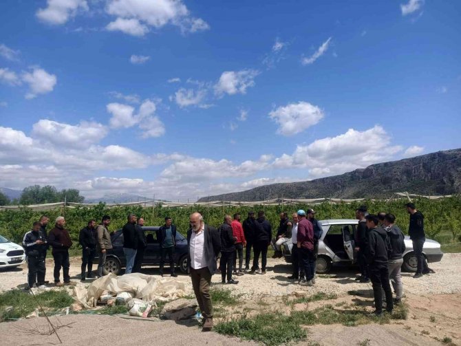 Çiftçi ve zabıta dolu topu avına çıktı