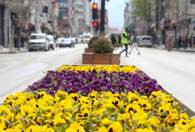 Van’da caddeler ve parklar rengarenk oldu