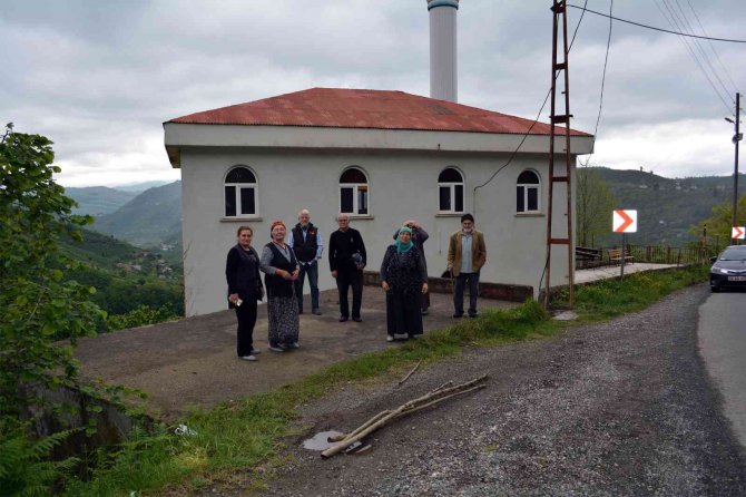 Yabani domuz ve yavrularına köylüler sahip çıktı