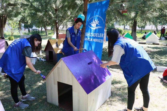 Gönüllü gençler sokak hayvanlarını unutmadı