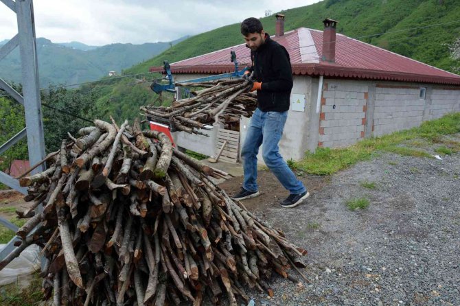 Gelmeyen yaz vatandaşları yakacak derdine düşürdü