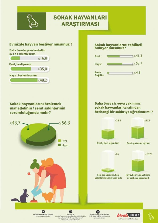 Türk halkı sokak hayvanlarını değil, saldırgan köpekleri tehlikeli buluyor