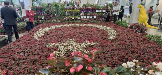 50 metre kare alana bin 500 çiçekli Türk Bayrağı motifi
