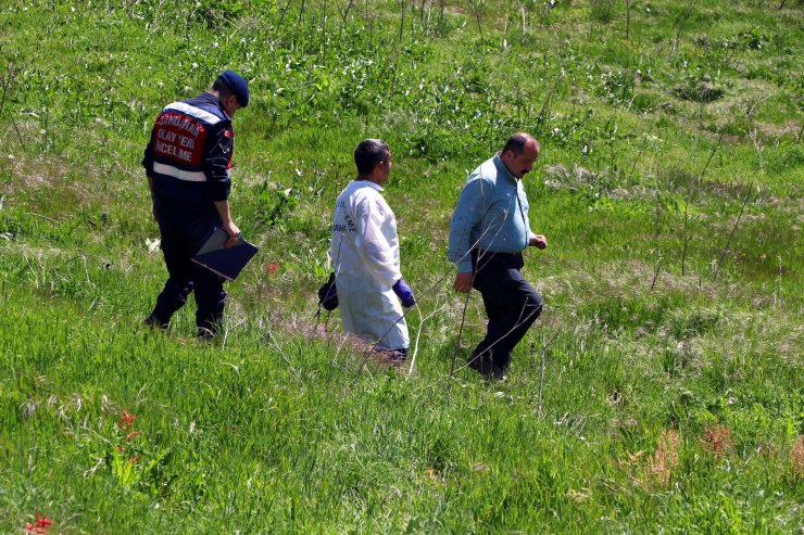 Arı kovanlarına zarar verildi, 4 milyon arı öldü