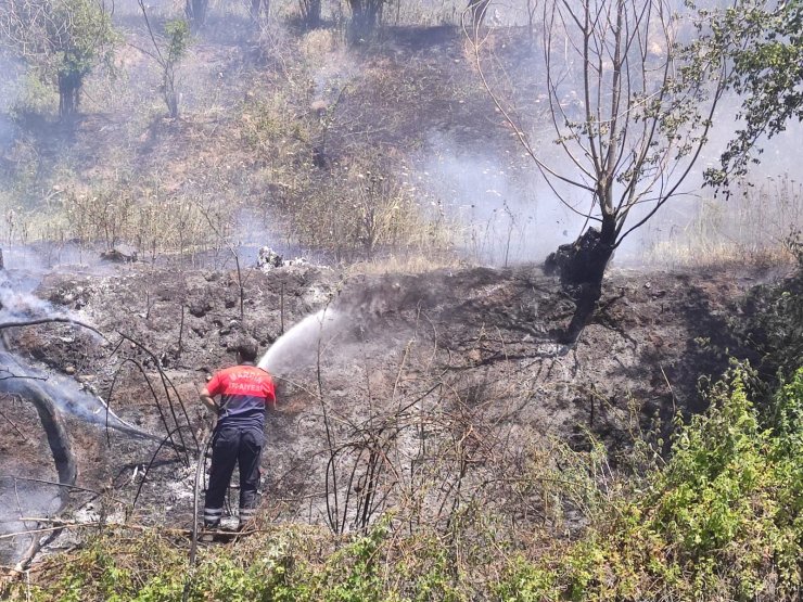 Nusaybin'de ağaçlık alanda çıkan yangın büyümeden söndürüldü