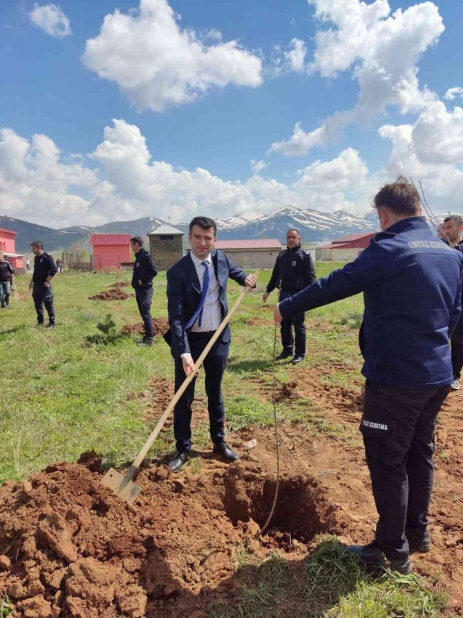 Ceza İnfaz Kurumunda fidan dikim etkinliği