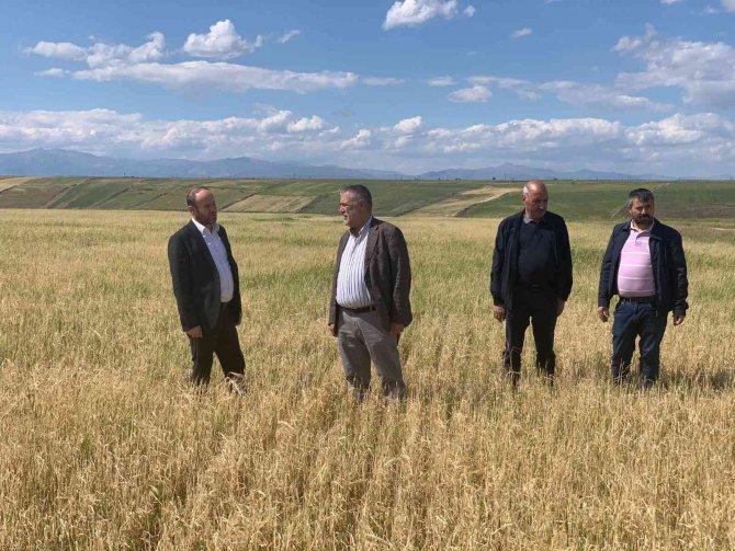 Kuraklık ve dolu nedeniyle zarar gören tarım arazilerinde hasar tespiti sürüyor