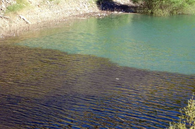 Torul Baraj Gölünde alg patlaması suyun rengini değiştirdi