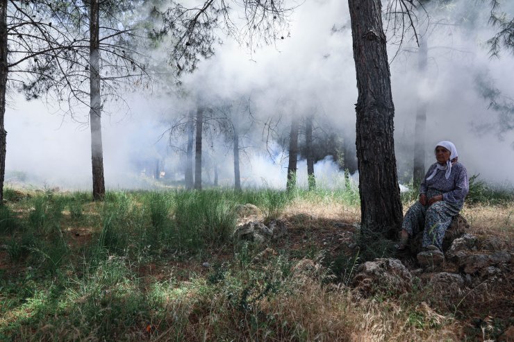 4 ilde 5 bin kişiyle 'Türkiye'nin en büyük orman yangını tatbikatı' gerçekleştirildi