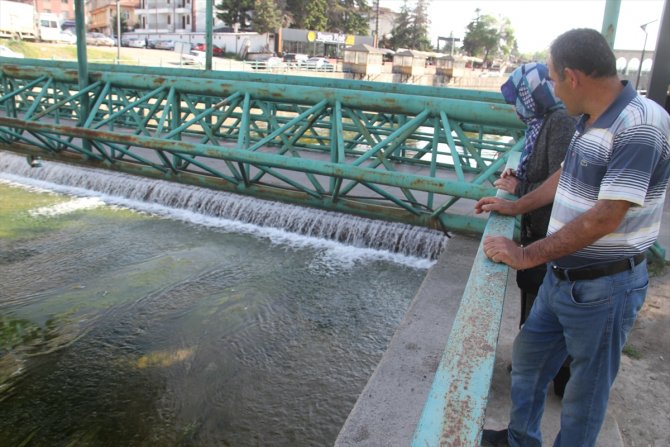 Beyşehir'de su kanalında akıntıya karşı yüzen su yılanları görenlerin ilgisini çekiyor