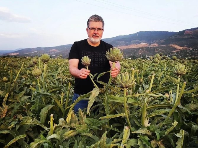 Enginar sofrada karaciğerin dostu, laboratuvarda kanserin düşmanı çıktı