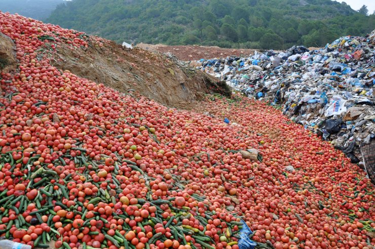 Çöpe dökülen sebzelerle ilgili akılalmaz açıklama!