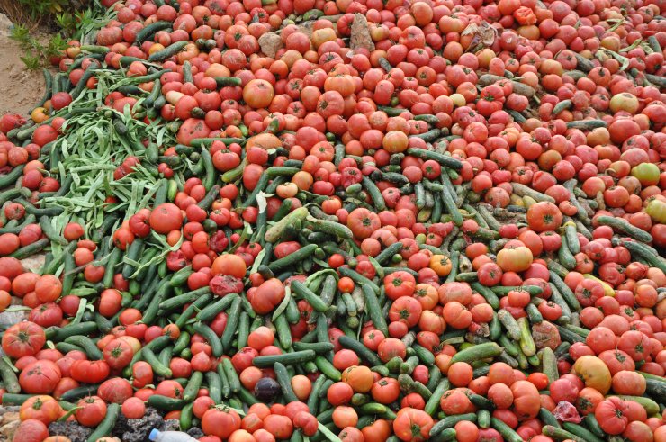 Çöpe dökülen sebzelerle ilgili akılalmaz açıklama!