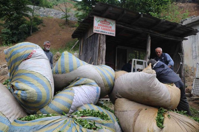 Müstahsil çayını kamyon üzerinde satıyor