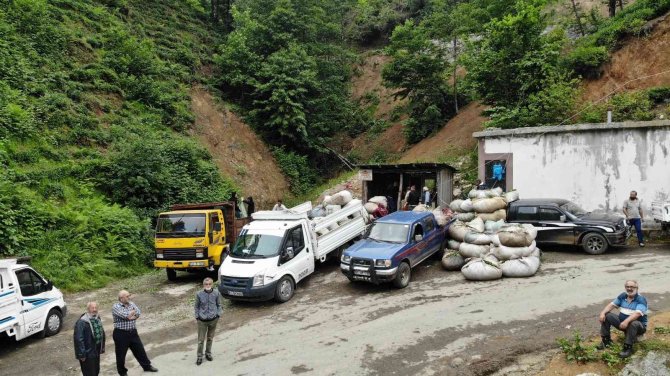 Müstahsil çayını kamyon üzerinde satıyor