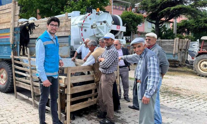 Kurbanlık hayvan pazarında denetim