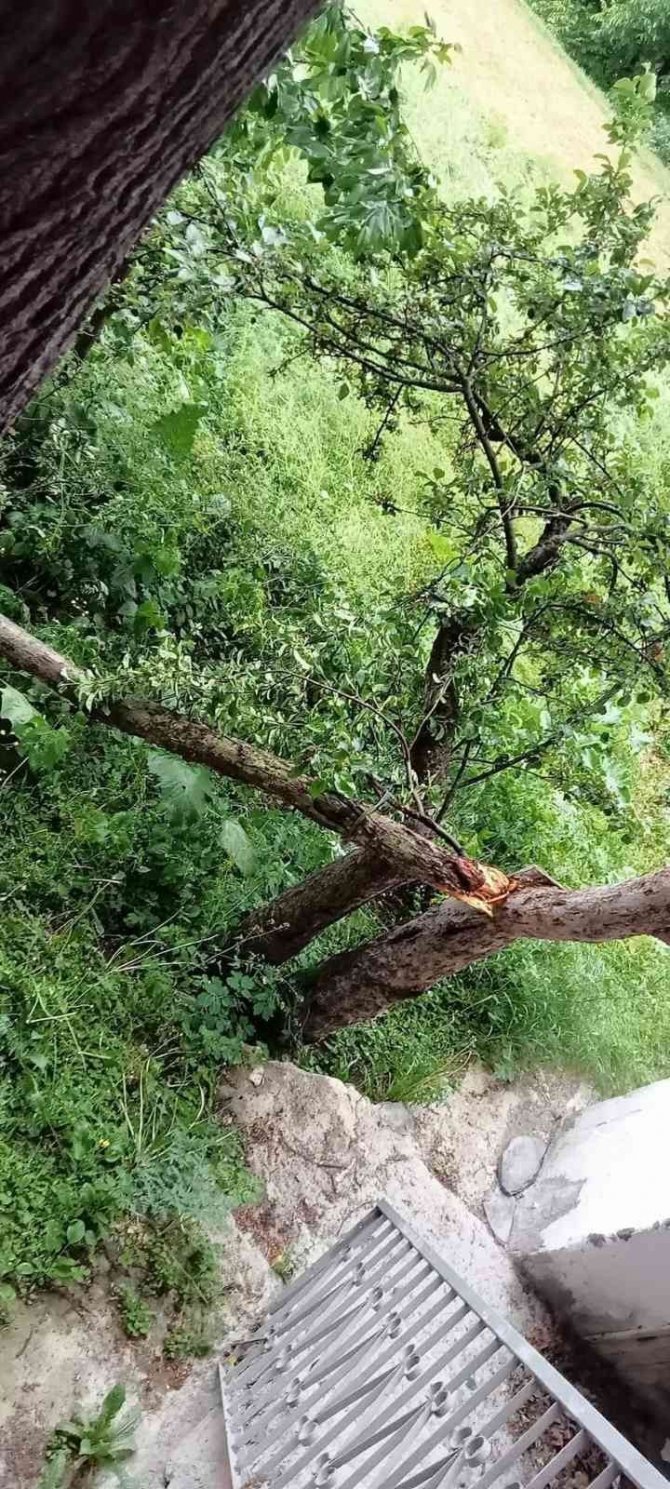 Şiddetli rüzgar ağaçları devirdi, çatıları uçurdu