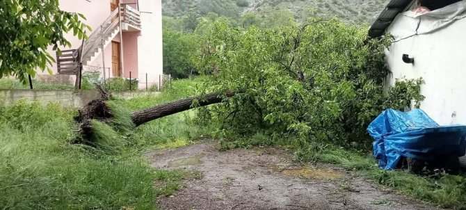 Şiddetli rüzgar ağaçları devirdi, çatıları uçurdu