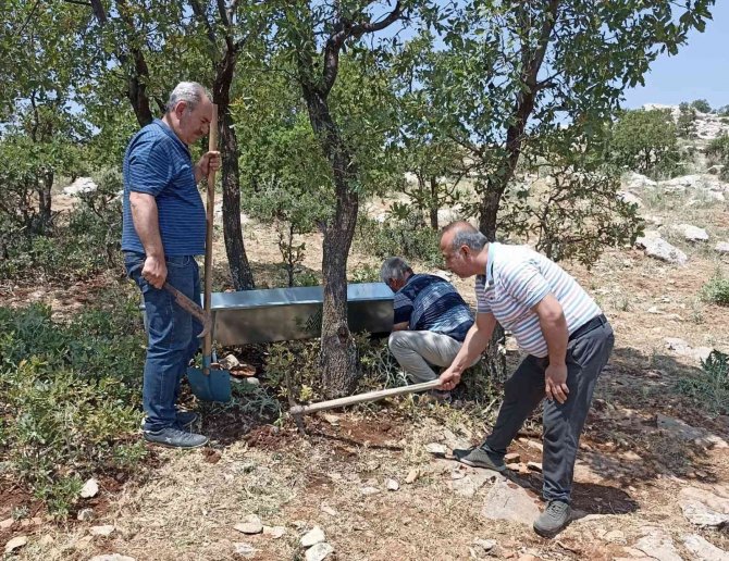 Yaban hayvanları için su teknesi bırakıldı