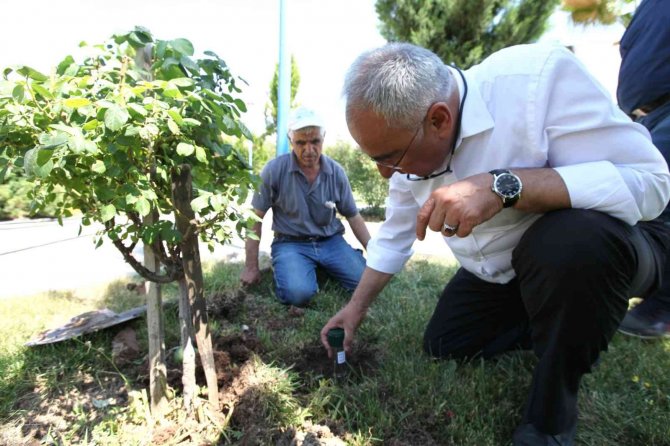 Üniversite kampüs alanına sürüngen savar yerleştirildi