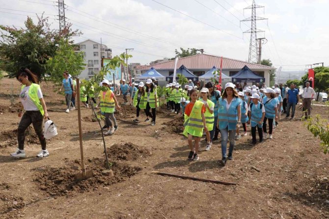 Atık yağlar çocuklar için fidana dönüştü