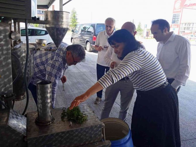 Aromatik Bahçenin ürünleri ekonomiye kazandırılacak