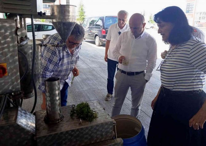 Aromatik Bahçenin ürünleri ekonomiye kazandırılacak