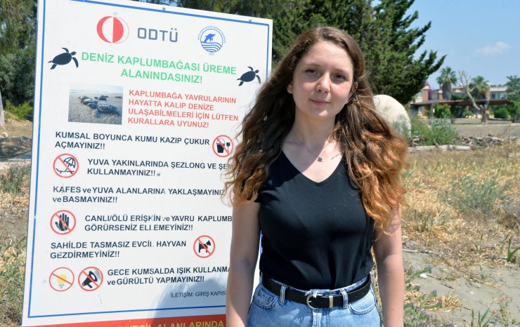 Sahile yumurta bırakan caretta carettalar dronla takip ediliyor