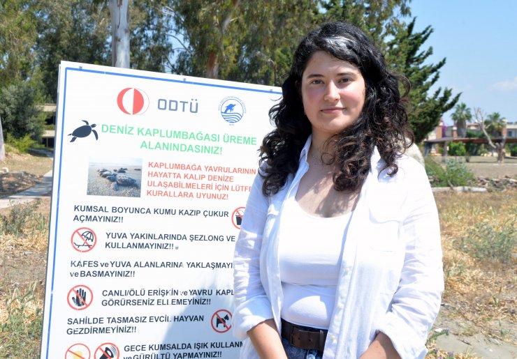 Sahile yumurta bırakan caretta carettalar dronla takip ediliyor