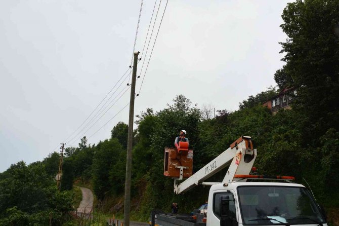 Elektrik direğinde mahsur kalan kedi, ekiplerden korkup kendisi indi