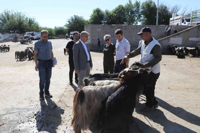 Kurbanlık satış ve kesim yerleri belirlendi