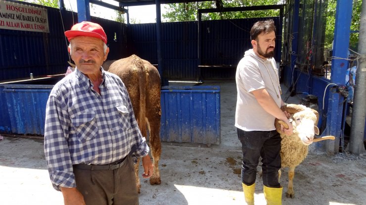 Yetim ve öksüzlere kurban bağışı