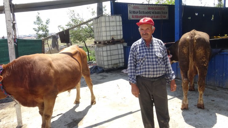 Yetim ve öksüzlere kurban bağışı