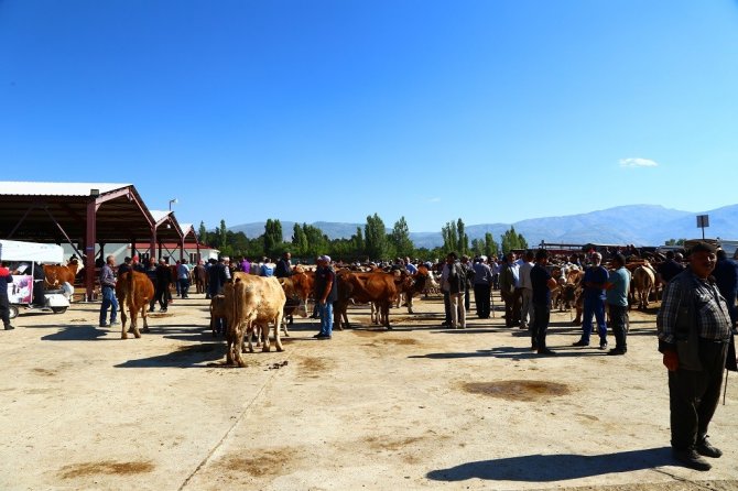 Zabıta ekipleri hayvan pazarını denetledi